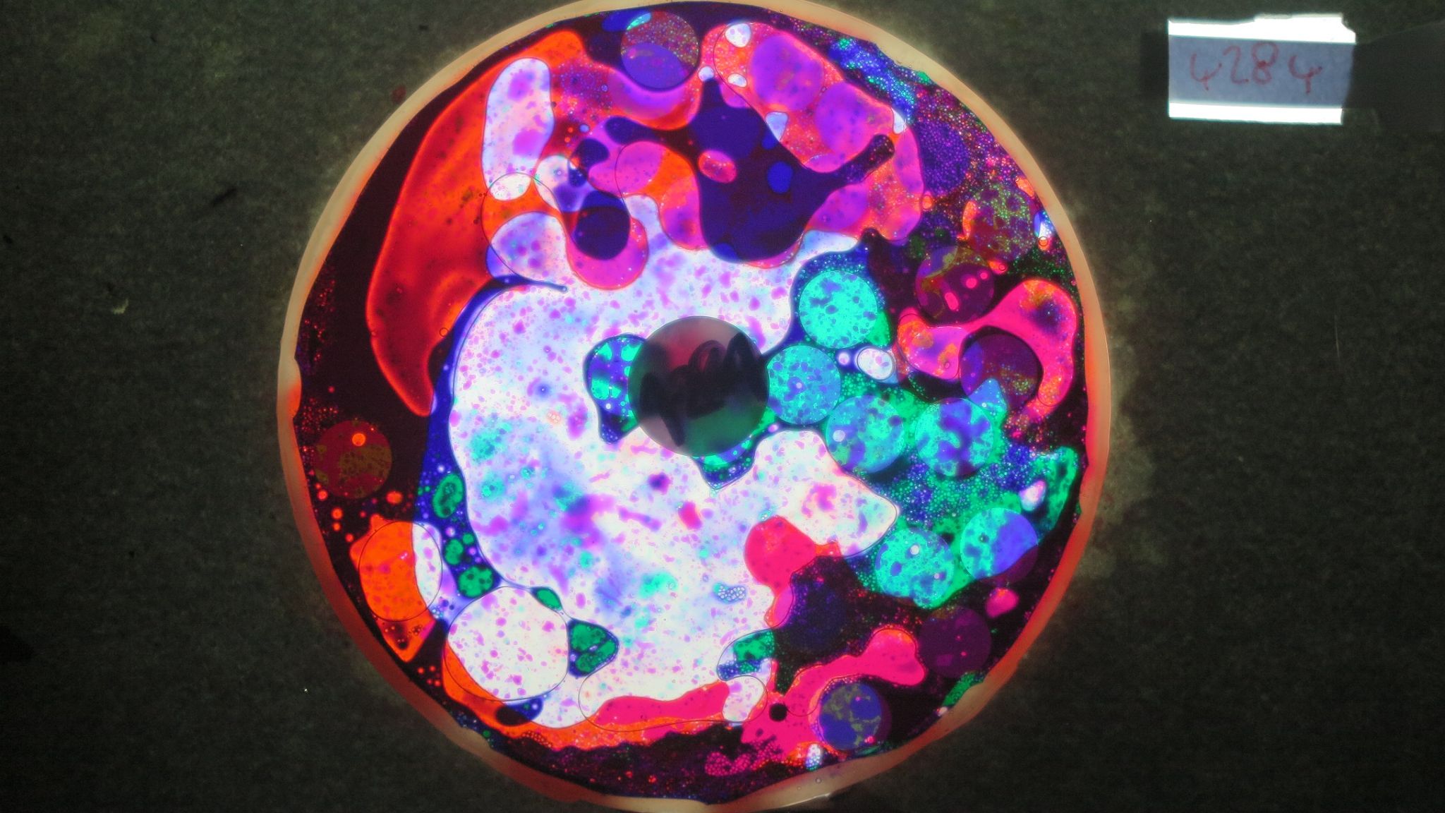 BV4284 bubble vision oil wheel